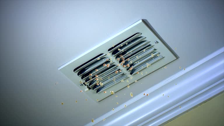 Best Residential Air Duct Cleaning  in Lonsdale, MN