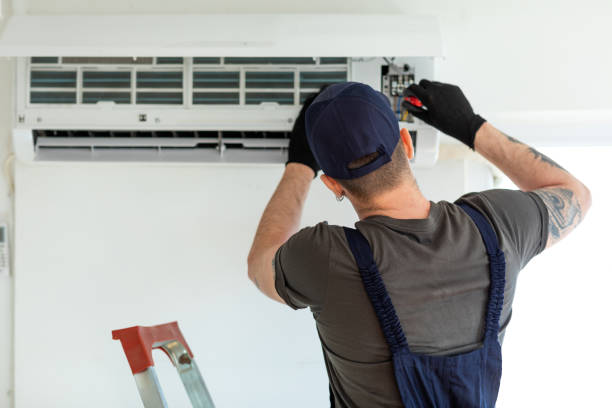 Best Air Duct Inspection  in Lonsdale, MN