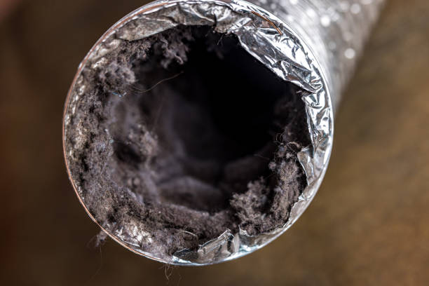 Best Air Duct Mold Removal  in Lonsdale, MN
